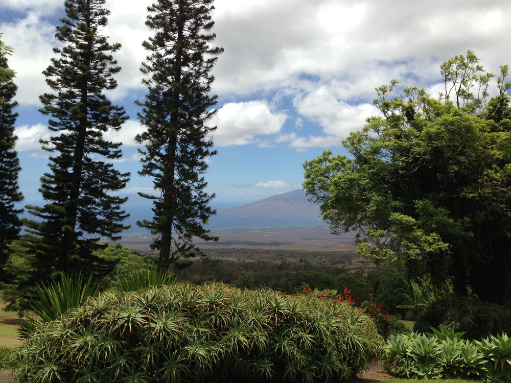 The view from St. John's Church, Kula